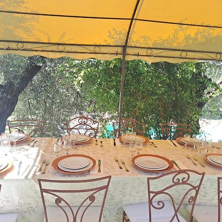 Agriturismo Marinella 아멜리아 외부 사진