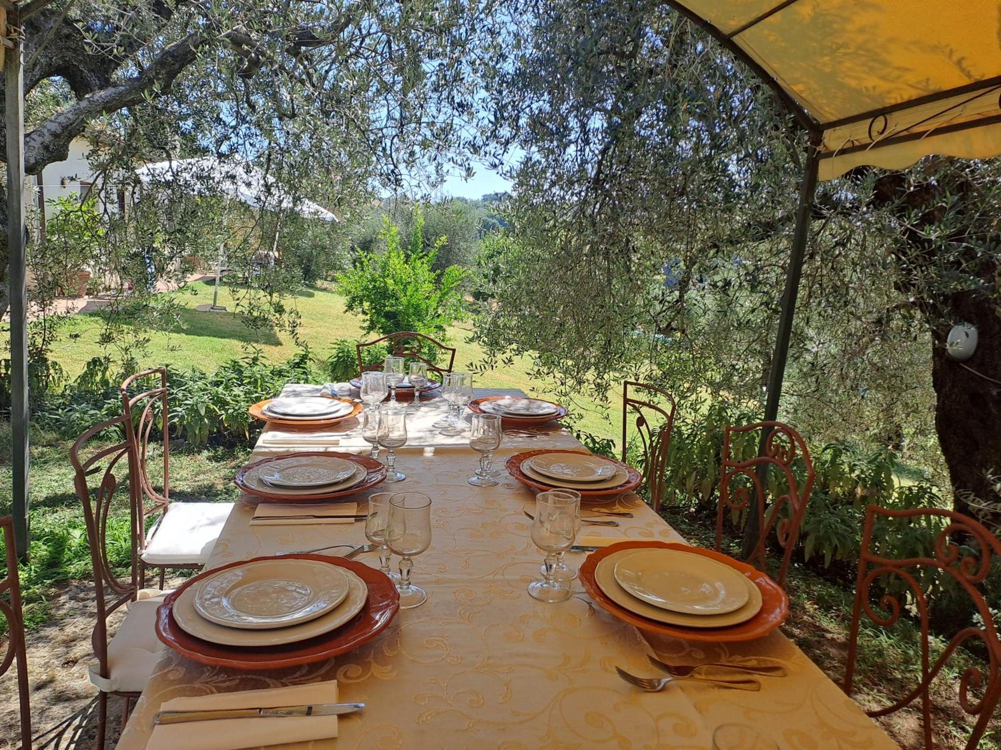 Agriturismo Marinella 아멜리아 외부 사진