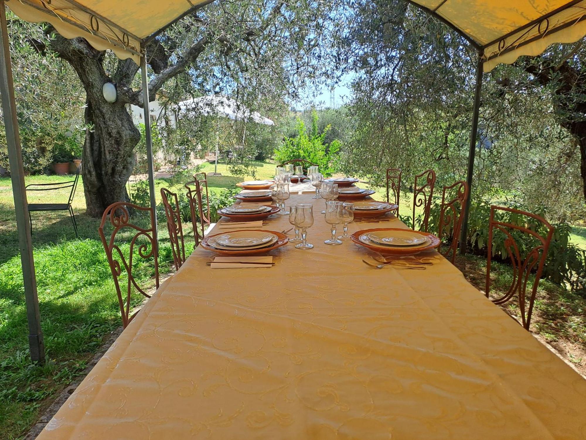Agriturismo Marinella 아멜리아 외부 사진