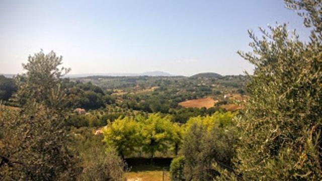 Agriturismo Marinella 아멜리아 외부 사진